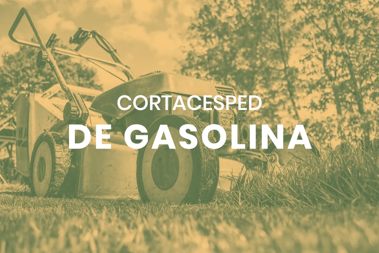 Categoria cortacesped de gasolina